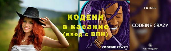 сатива Михайлов