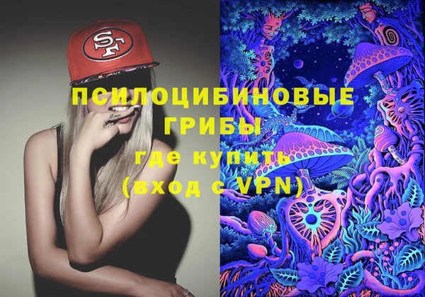 сатива Михайлов