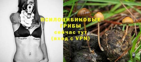 сатива Михайлов